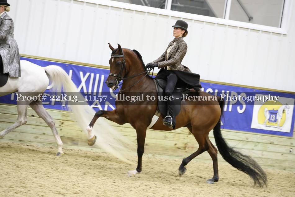 Proof 22R13_11157