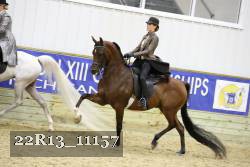 22R13_11157 proof