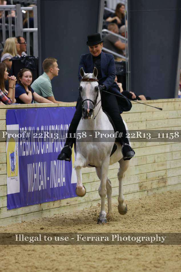 Proof 22R13_11158