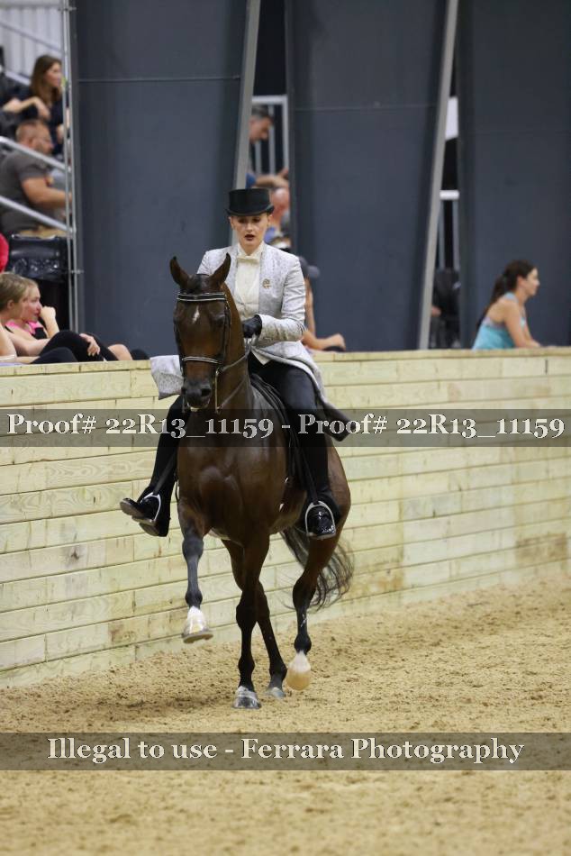 Proof 22R13_11159