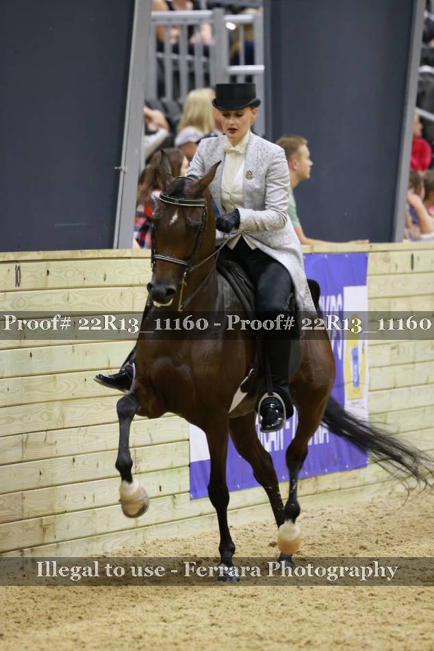 Proof 22R13_11160