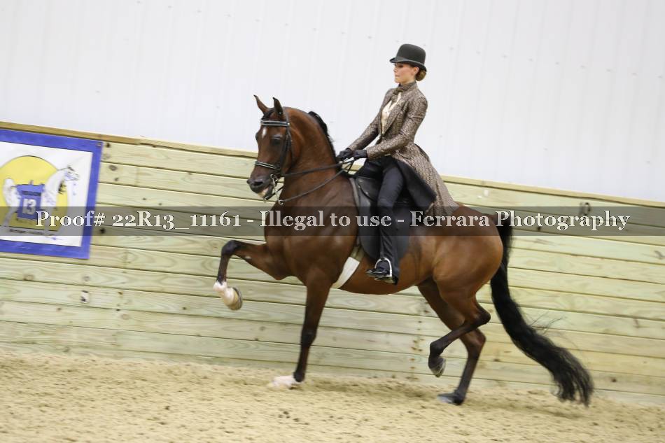 Proof 22R13_11161