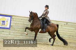 22R13_11161 proof