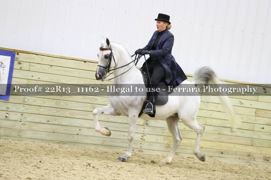 Proof 22R13_11162