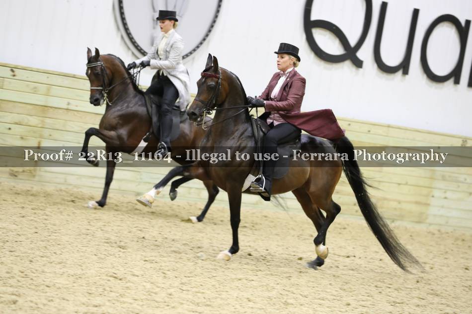 Proof 22R13_11164