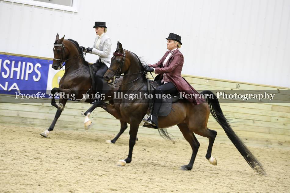 Proof 22R13_11165