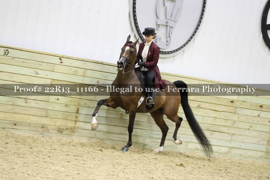 Proof 22R13_11166