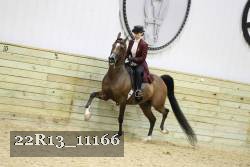 22R13_11166 proof