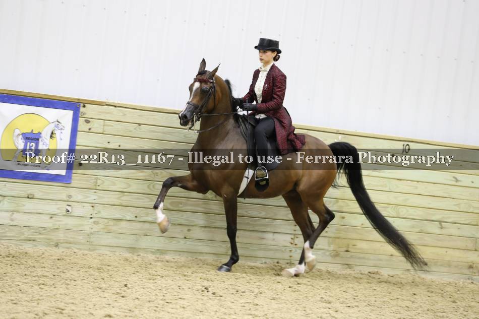 Proof 22R13_11167