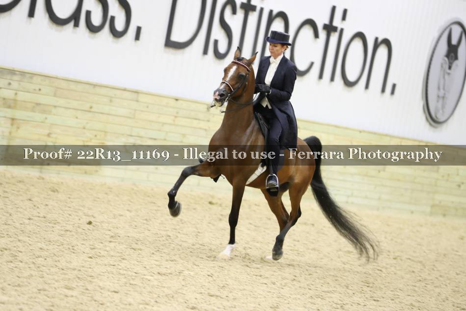 Proof 22R13_11169