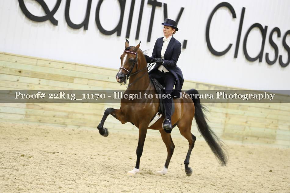 Proof 22R13_11170