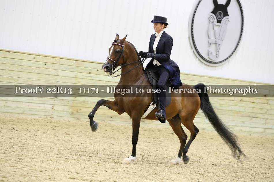Proof 22R13_11171