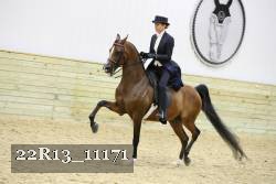 22R13_11171 proof
