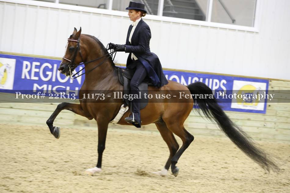 Proof 22R13_11173