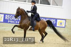 22R13_11173 proof
