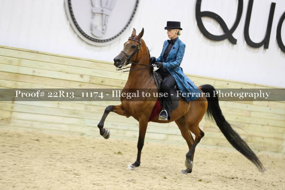 Proof 22R13_11174
