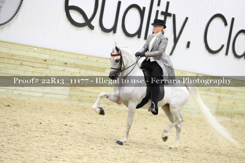 Proof 22R13_11177