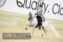 22R13_11177 proof