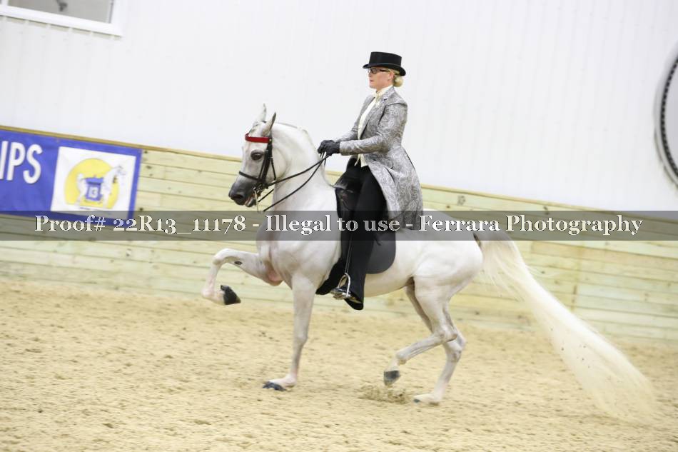 Proof 22R13_11178