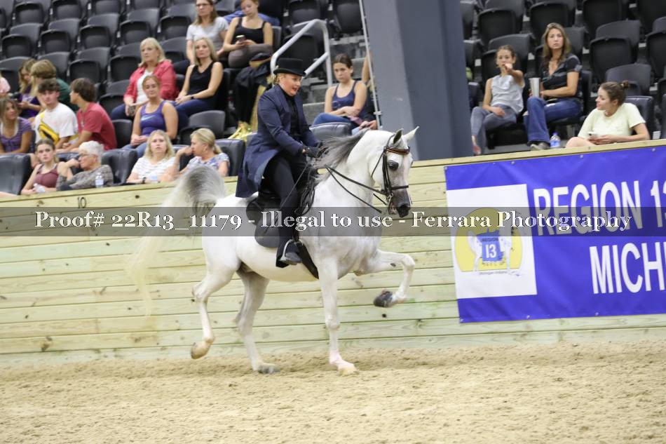 Proof 22R13_11179