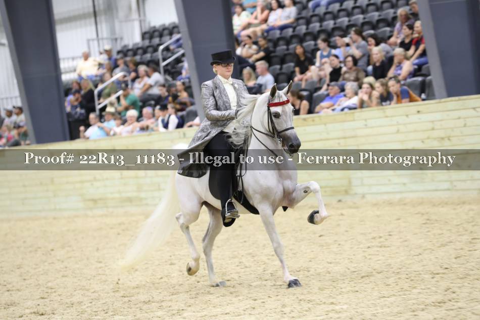 Proof 22R13_11183