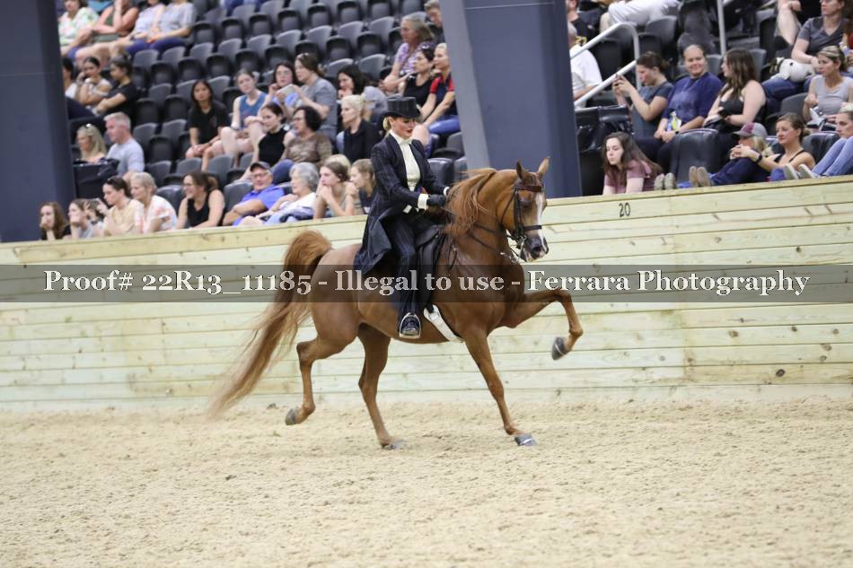 Proof 22R13_11185