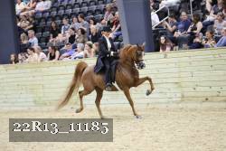22R13_11185 proof