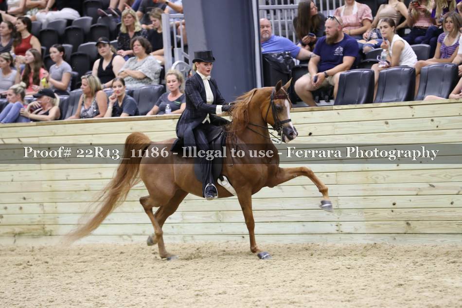 Proof 22R13_11186