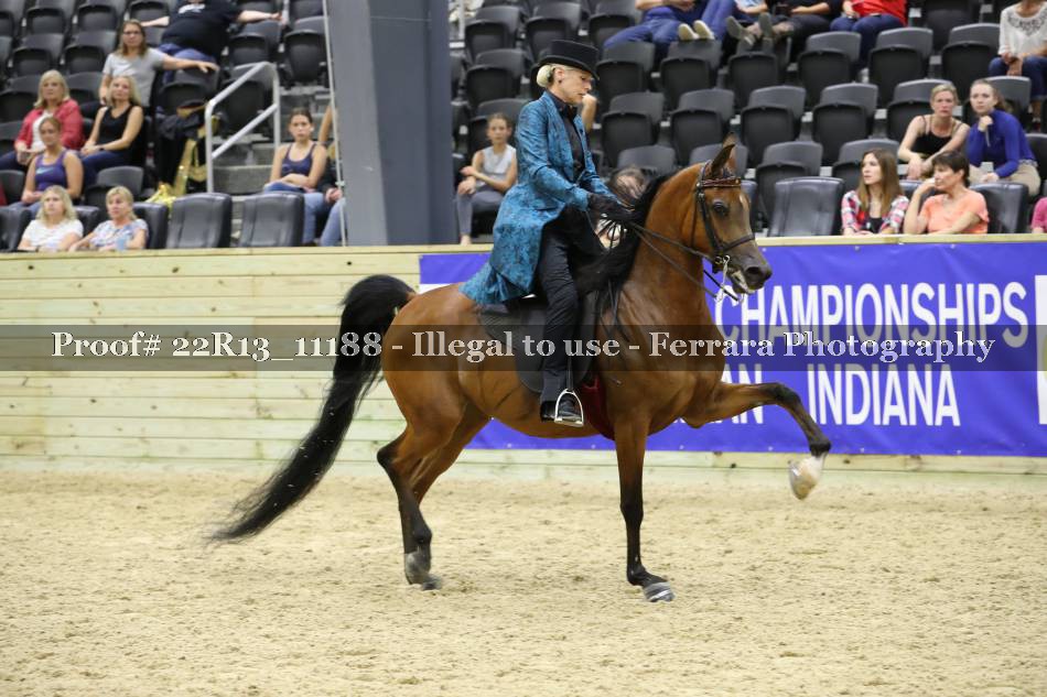 Proof 22R13_11188