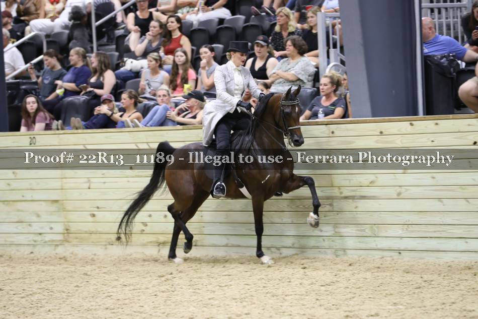 Proof 22R13_11189