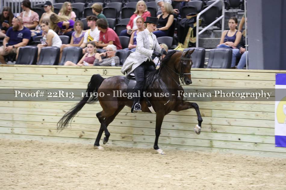 Proof 22R13_11190
