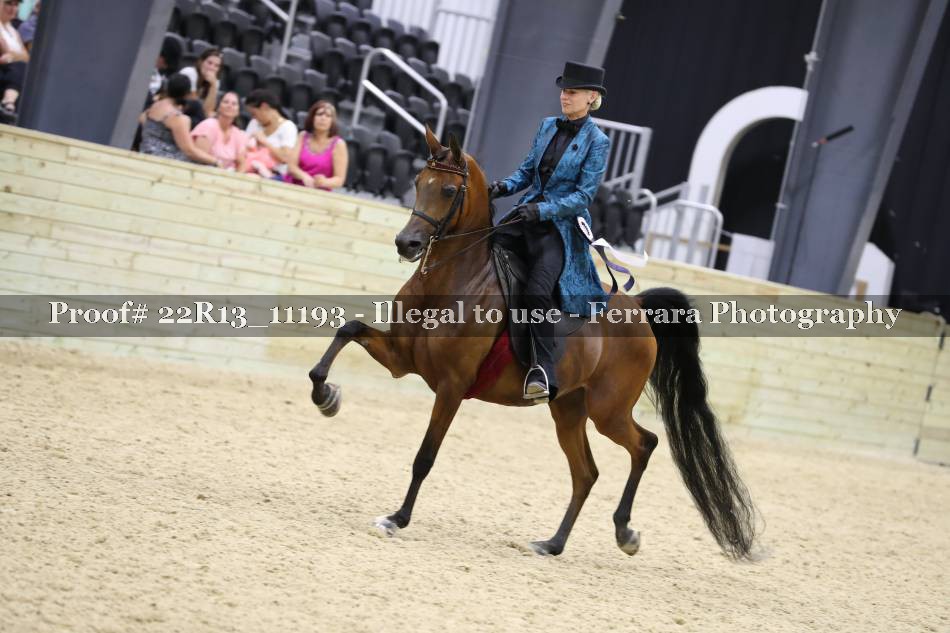 Proof 22R13_11193