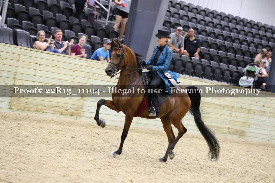 Proof 22R13_11194