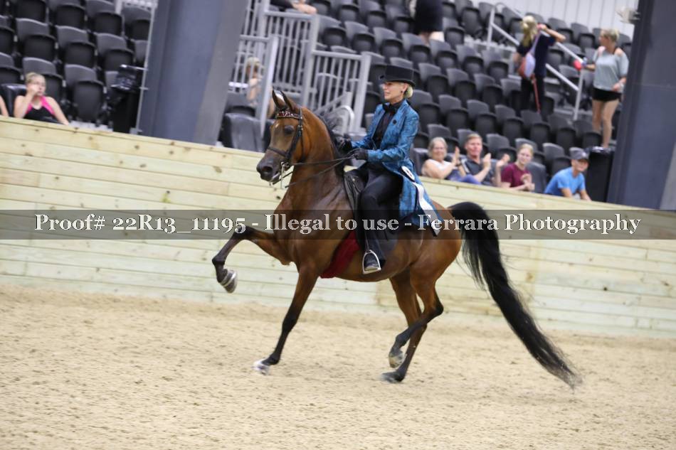 Proof 22R13_11195