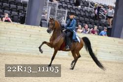 22R13_11195 proof