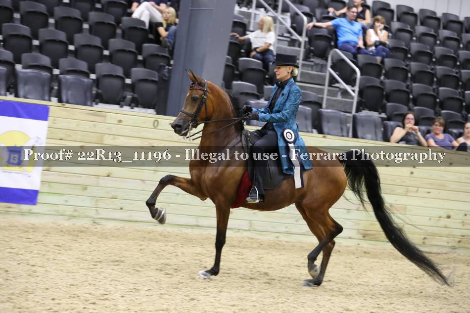 Proof 22R13_11196