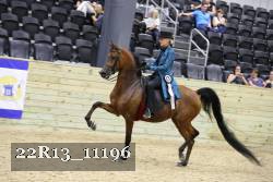 22R13_11196 proof