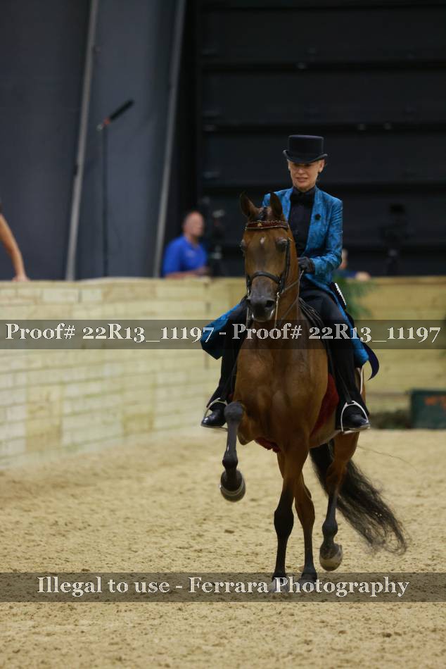 Proof 22R13_11197