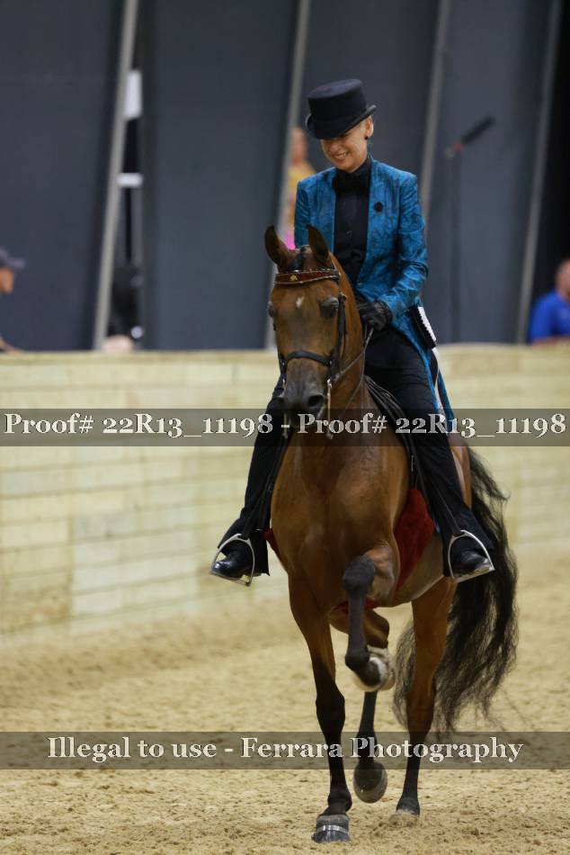 Proof 22R13_11198