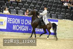 22R13_11201 proof