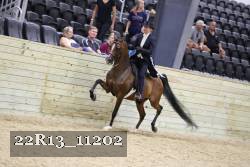 22R13_11202 proof