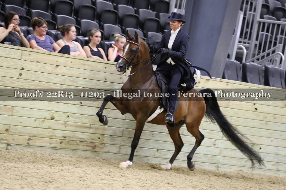 Proof 22R13_11203