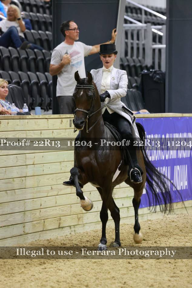 Proof 22R13_11204