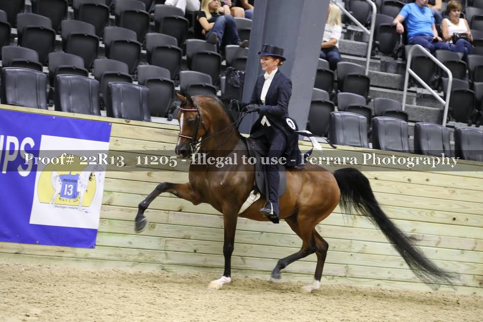 Proof 22R13_11205