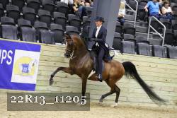 22R13_11205 proof