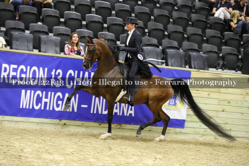 Proof 22R13_11206