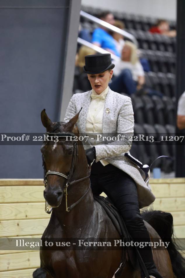 Proof 22R13_11207