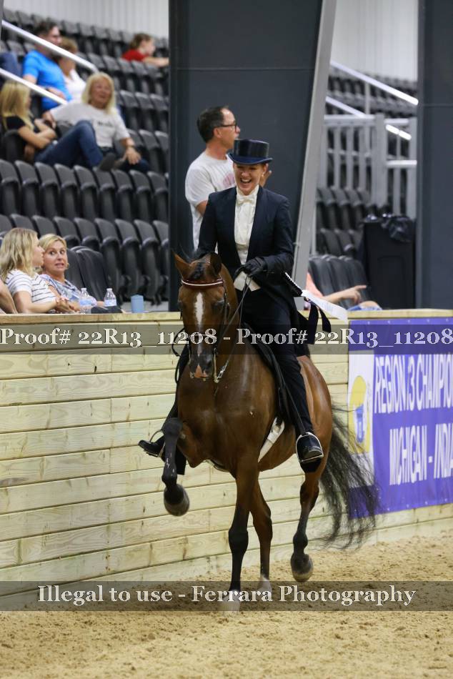 Proof 22R13_11208