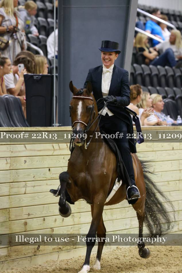 Proof 22R13_11209