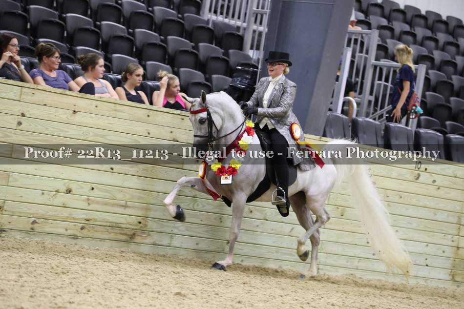 Proof 22R13_11213